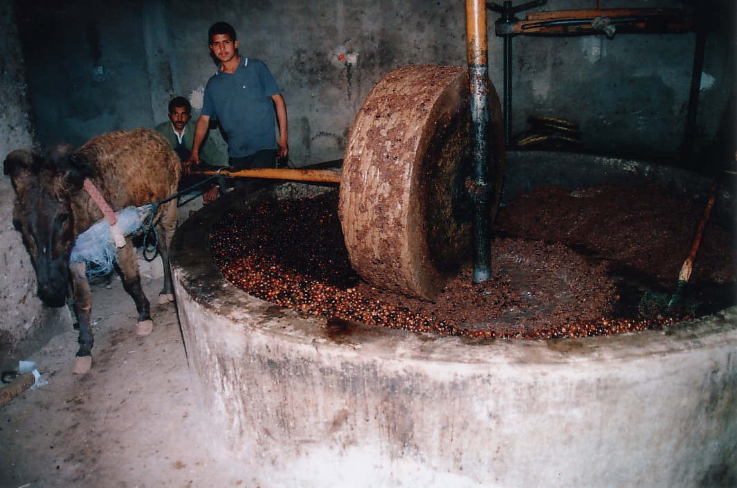 Foto de Ozoud, Marruecos