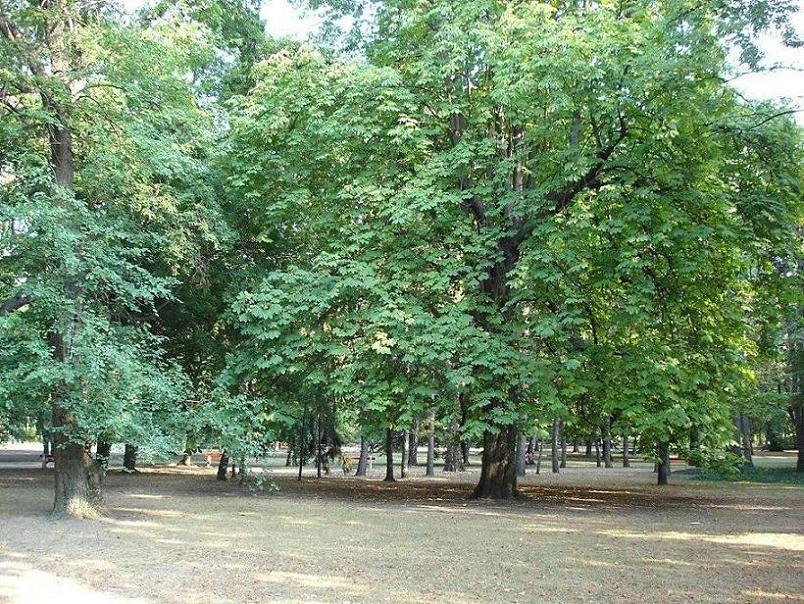 Foto de Budapest, Hungría