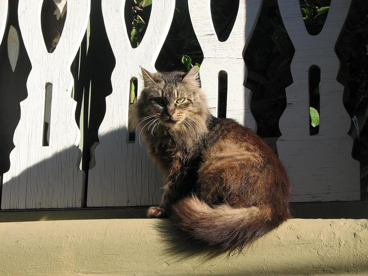 Foto de Valparaíso, Chile