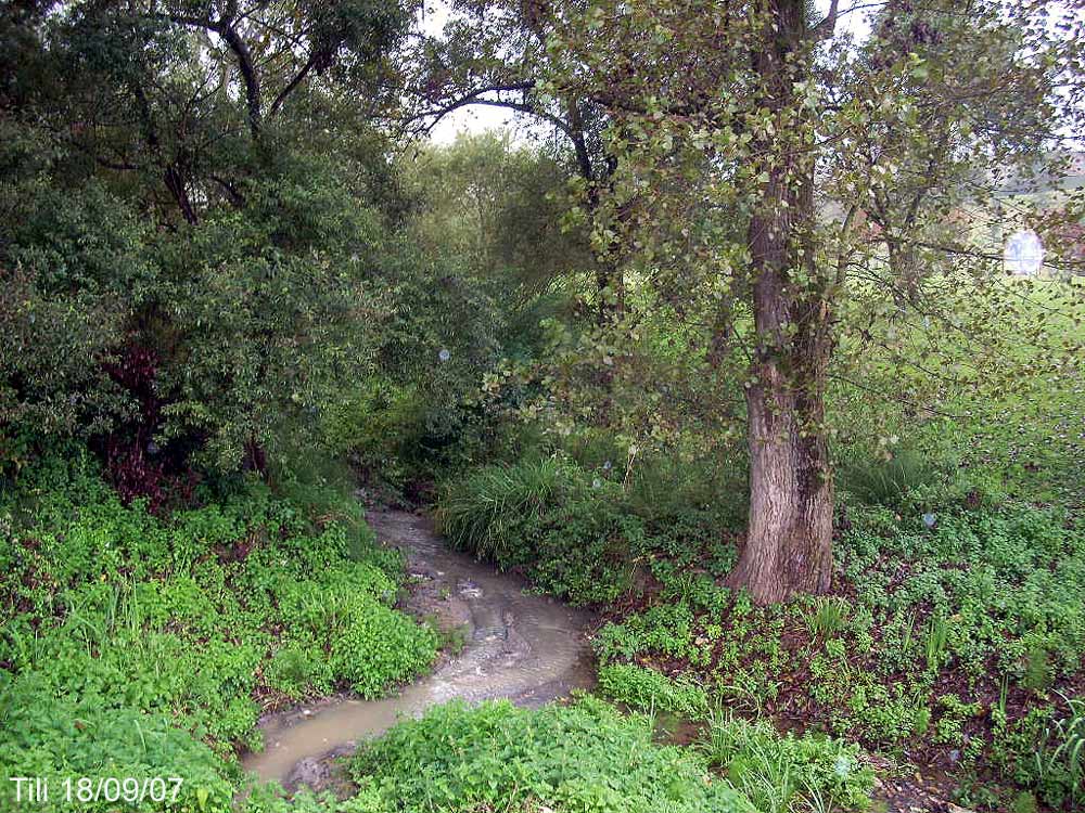 Foto de Oviedo (Asturias), España