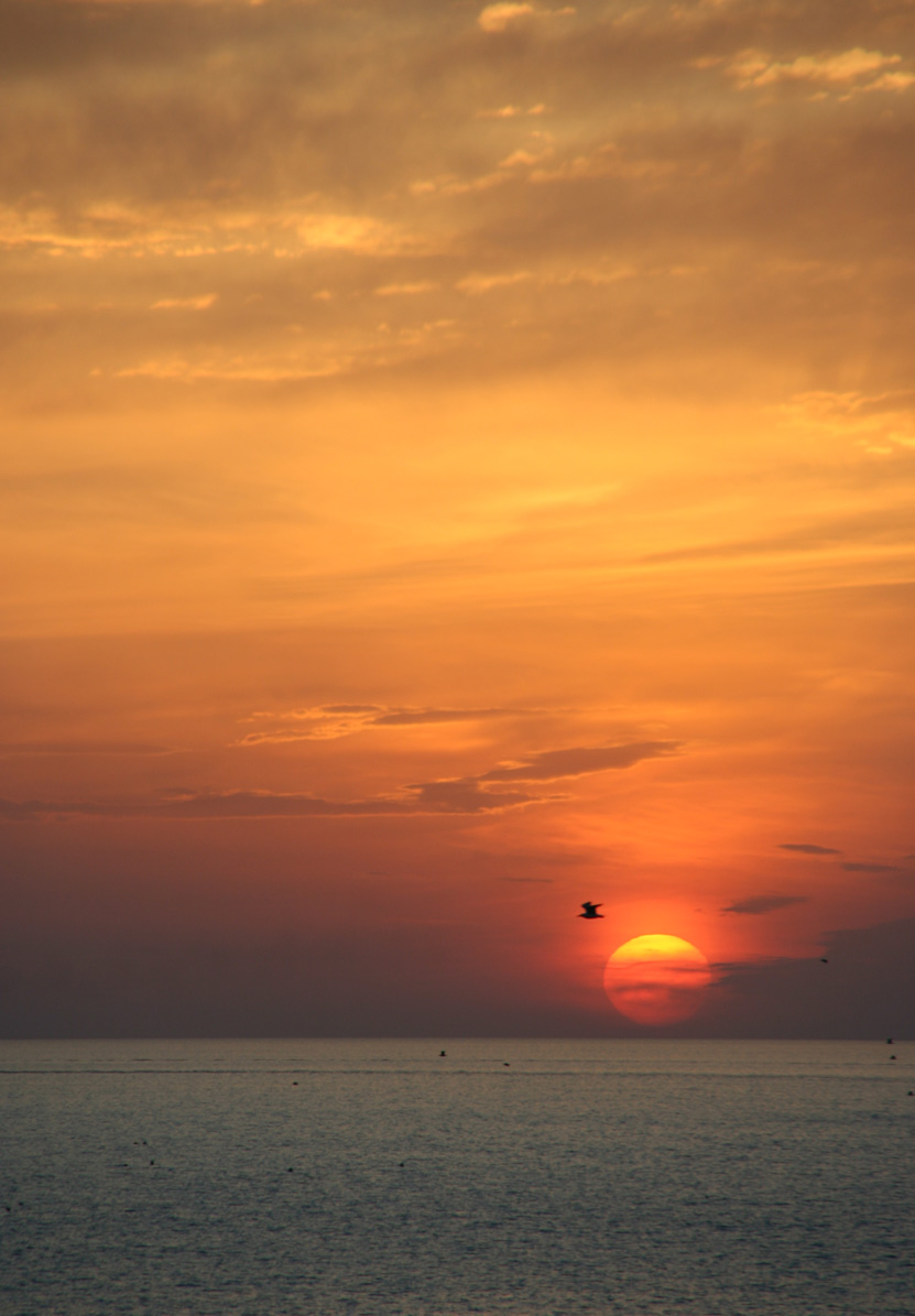 Foto de Civitavechia, Italia