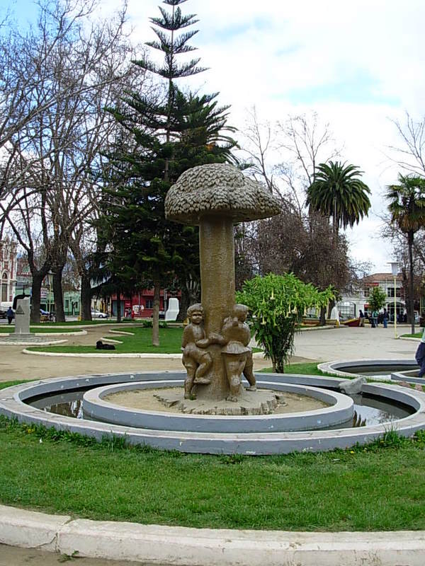 Foto de Quillota, Chile