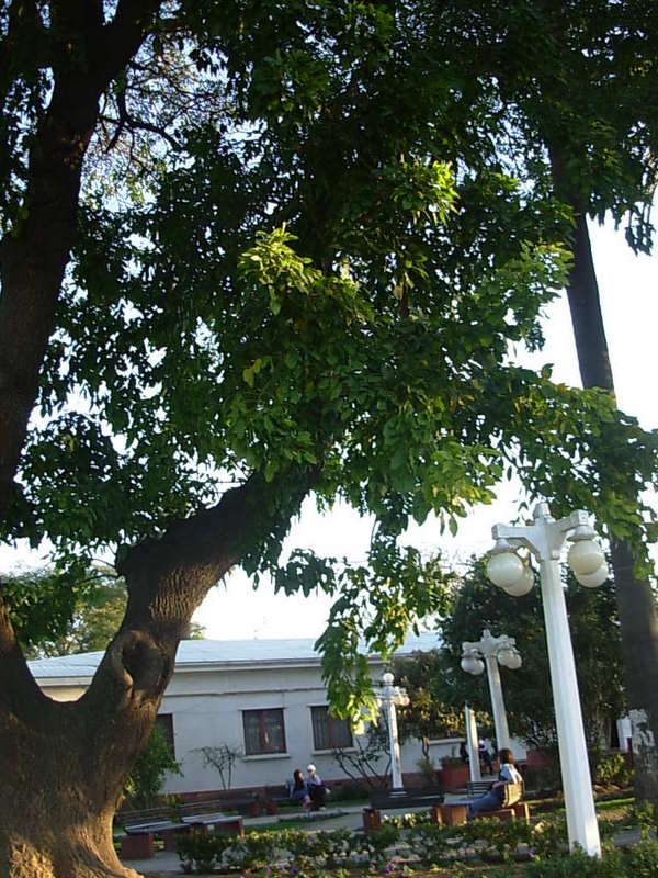 Foto de Quilpue, Chile