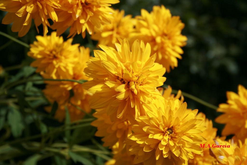 Foto de Respenda de la Peña (Palencia), España