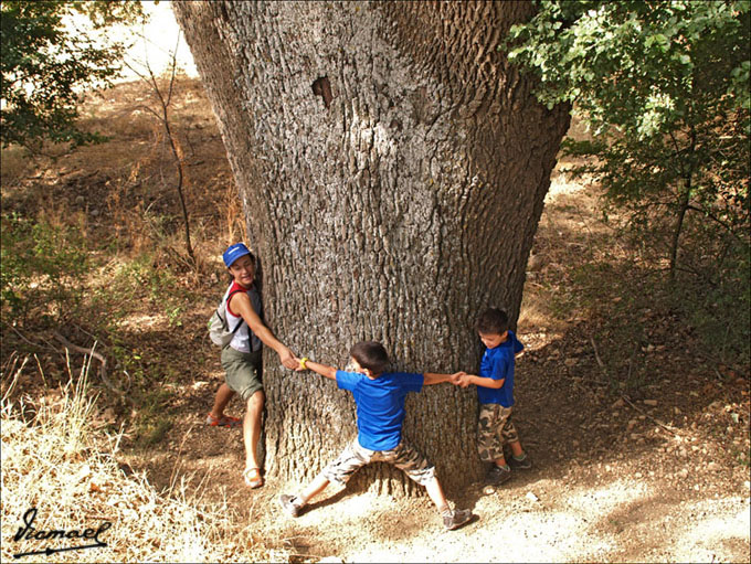 Foto de Embid de Ariza (Zaragoza), España