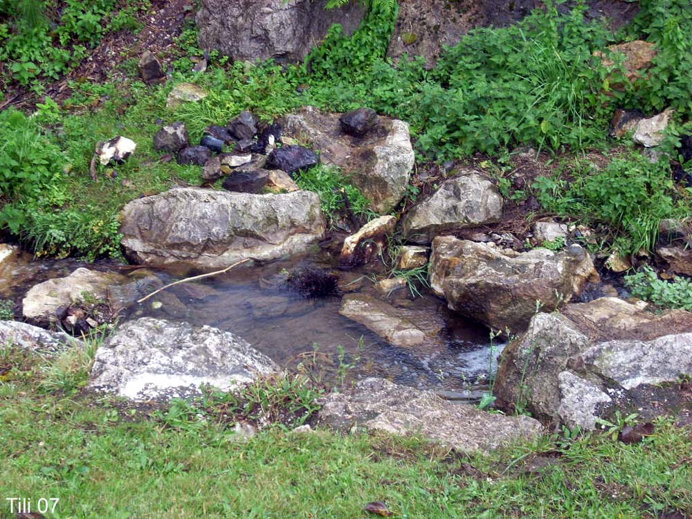 Foto de Oviedo (Asturias), España