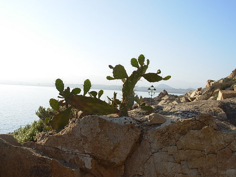 Foto de Coquimbo, Chile