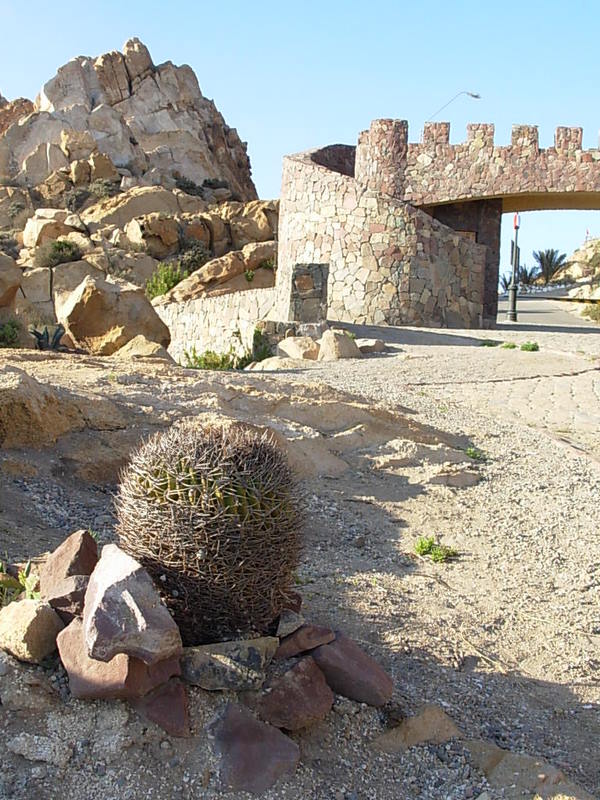 Foto de Coquimbo, Chile