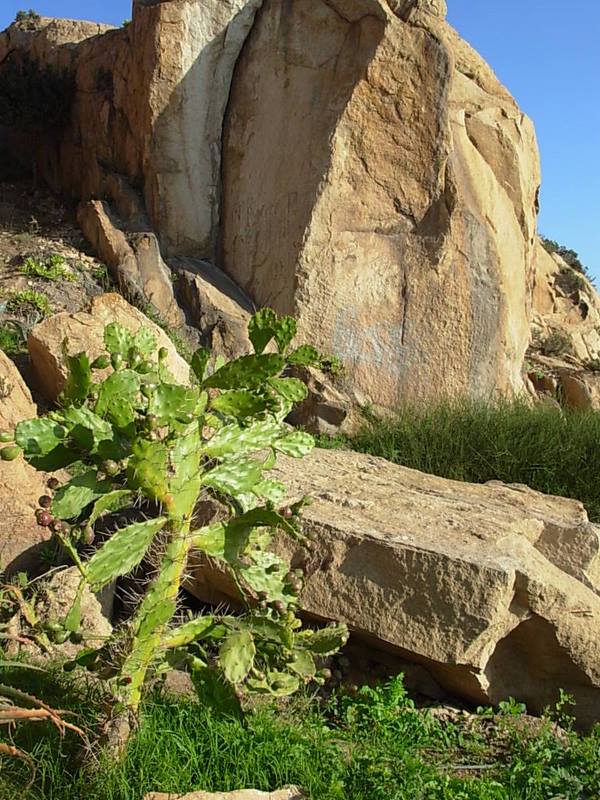 Foto de Coquimbo, Chile