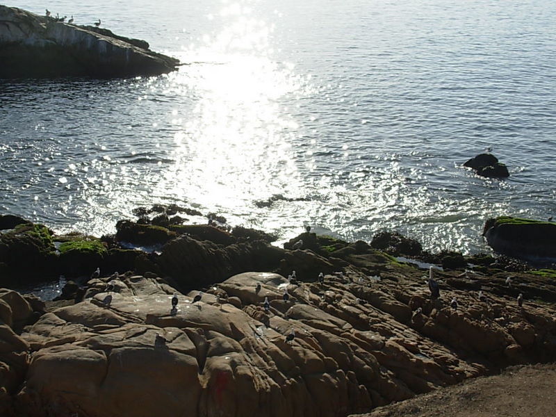 Foto de Coquimbo, Chile