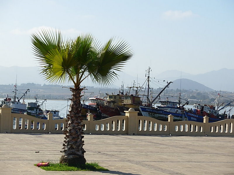 Foto de Coquimbo, Chile