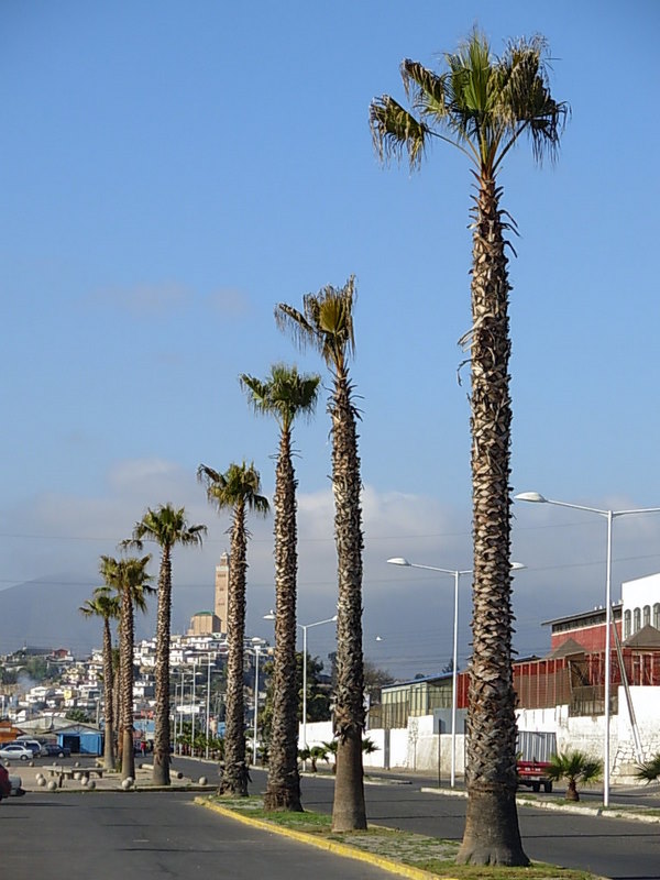 Foto de Coquimbo, Chile