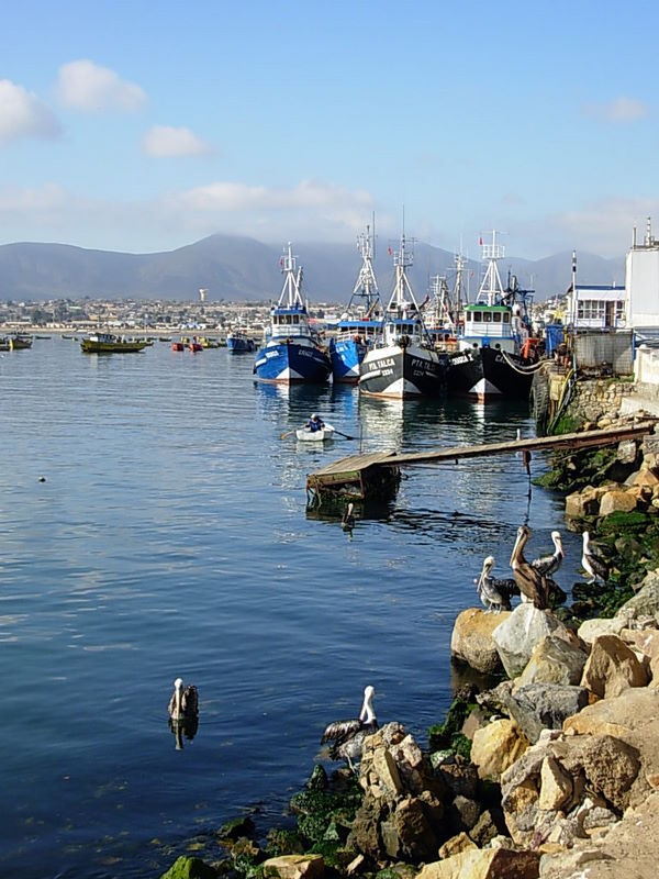 Foto de Coquimbo, Chile