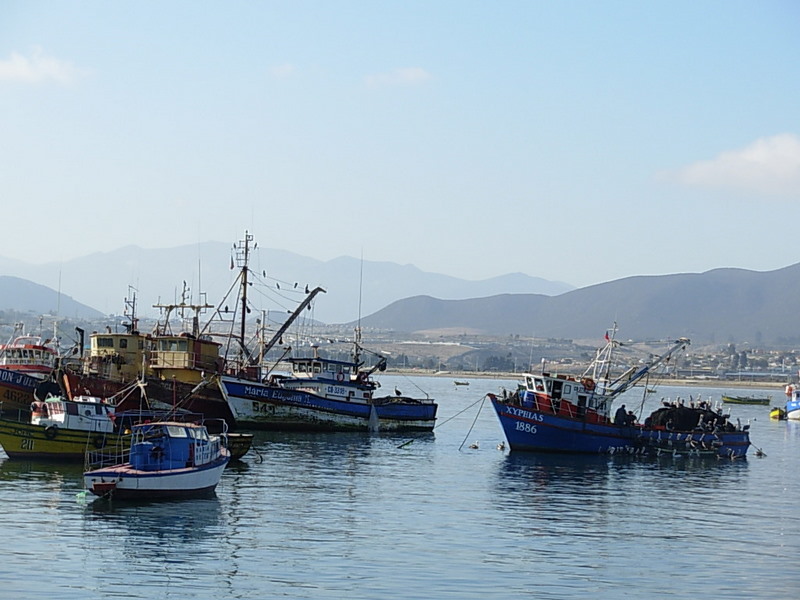 Foto de Coquimbo, Chile