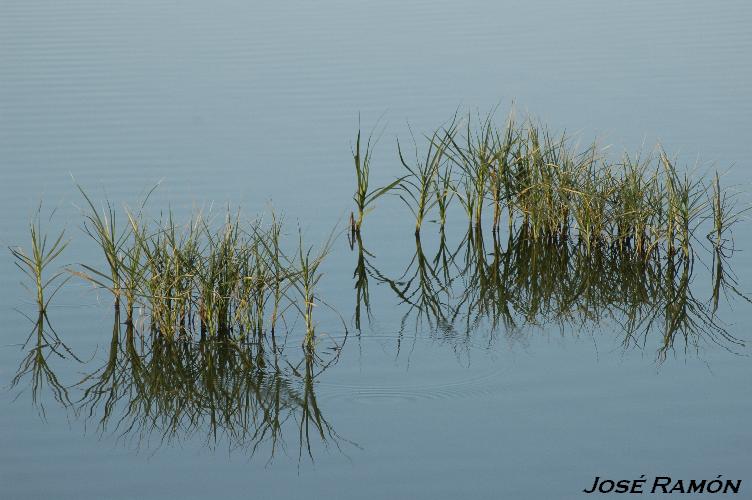Foto de Trebujena (Cádiz), España