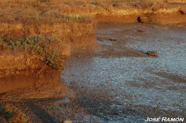 Foto de Trebujena (Cádiz), España