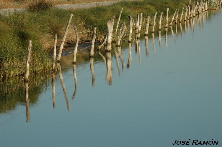 Foto de Trebujena (Cádiz), España