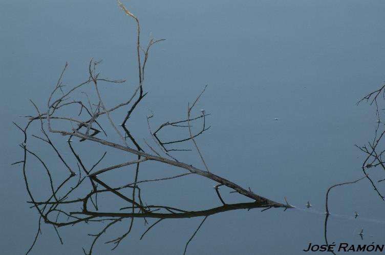 Foto de Trebujena (Cádiz), España