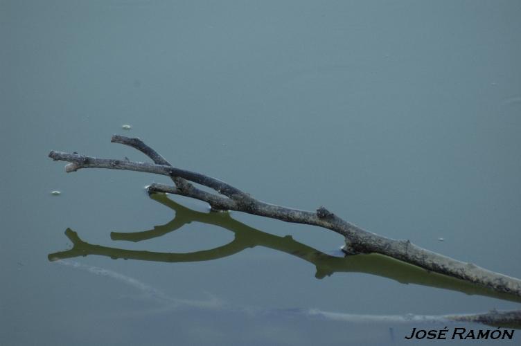 Foto de Trebujena (Cádiz), España