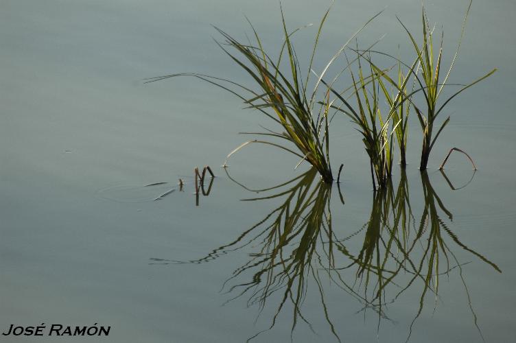 Foto de Trebujena (Cádiz), España