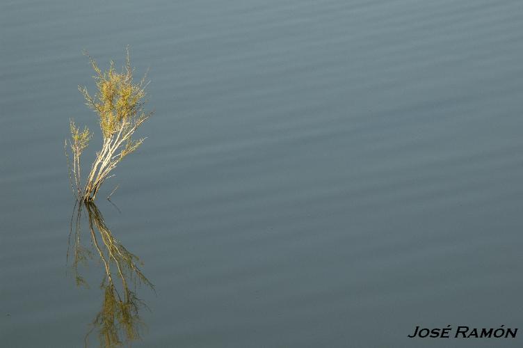 Foto de Trebujena (Cádiz), España
