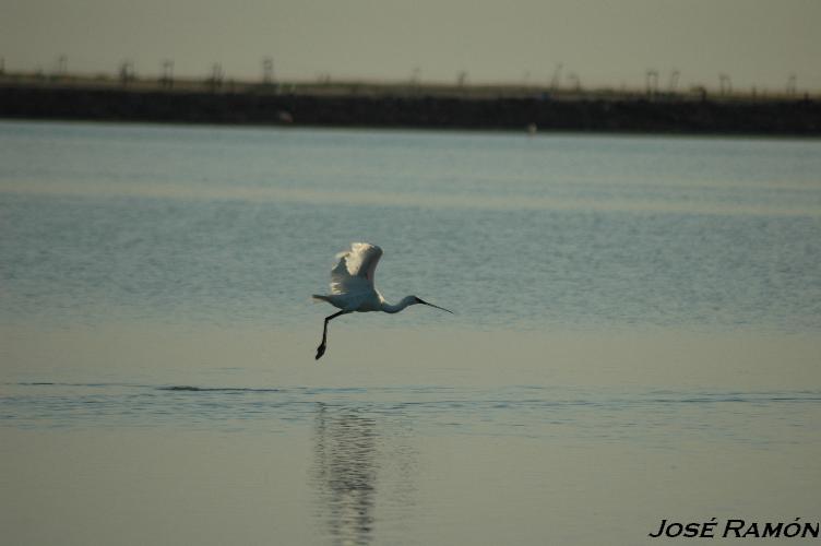 Foto de Trebujena (Cádiz), España