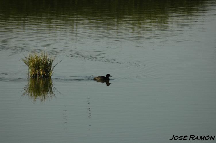 Foto de Trebujena (Cádiz), España
