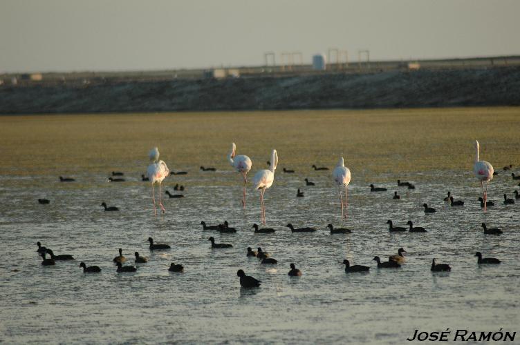 Foto de Trebujena (Cádiz), España