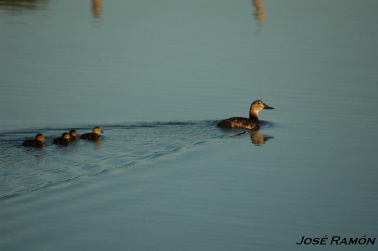 Foto de Trebujena (Cádiz), España