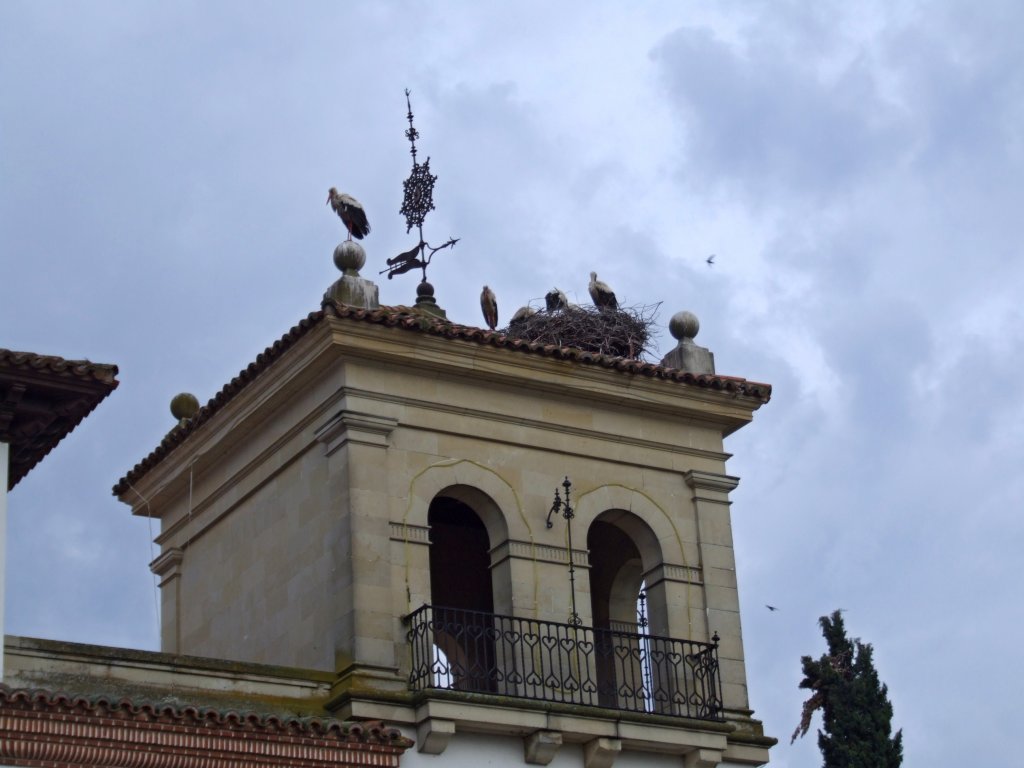 Foto de Boecillo (Valladolid), España