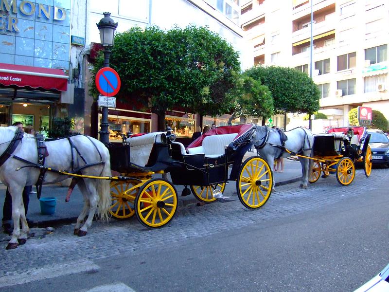 Foto de Marbella (Málaga), España