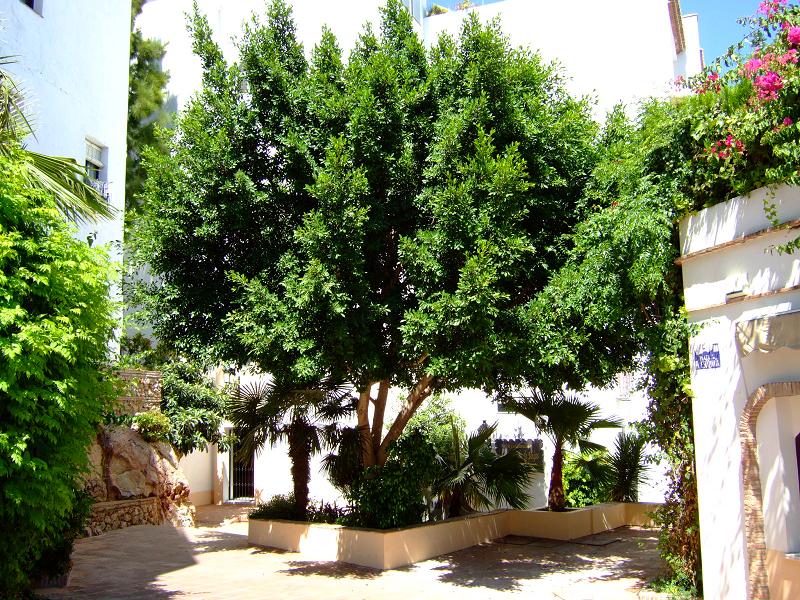 Foto de Mijas (Málaga), España