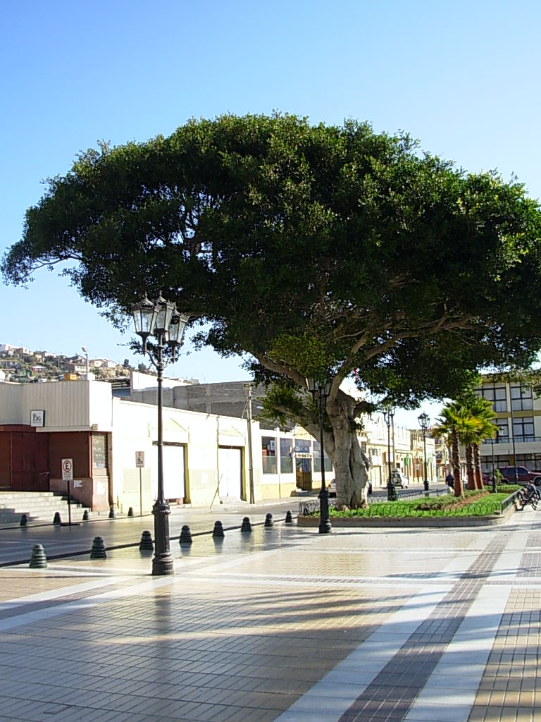 Foto de Coquimbo, Chile