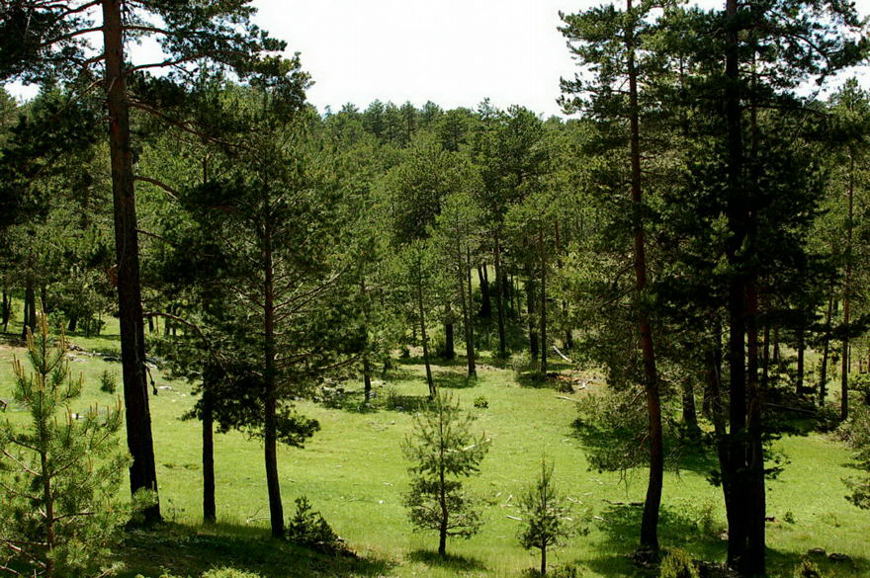 Foto de Peralejo de las Truchas (Cuenca), España