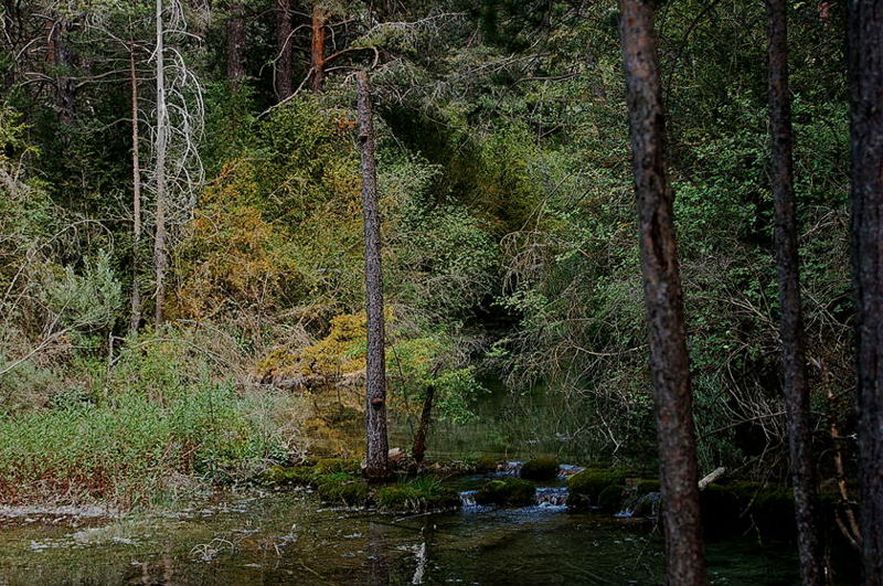 Foto de Cuenca (Castilla La Mancha), España