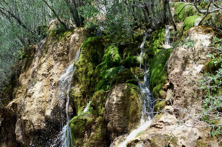 Foto de Cuenca (Castilla La Mancha), España