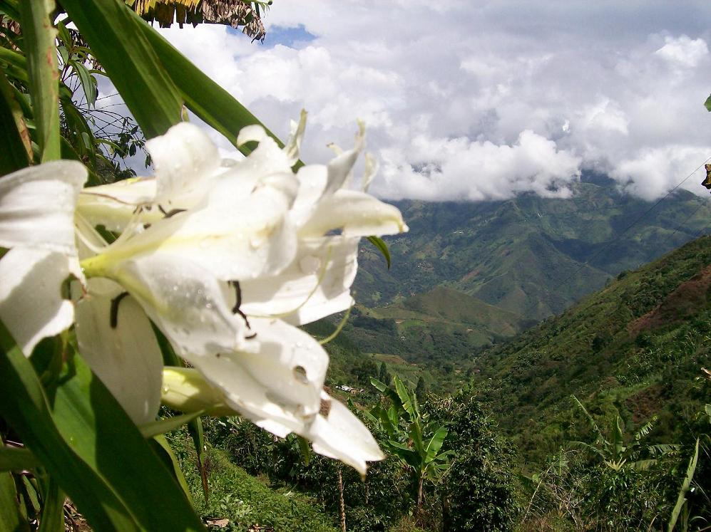 Foto de Barbosa - Antioquia, Colombia