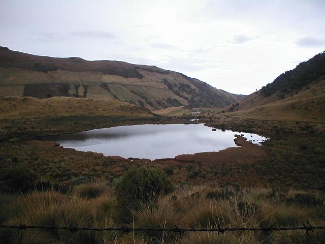 Foto de Manizales, Colombia