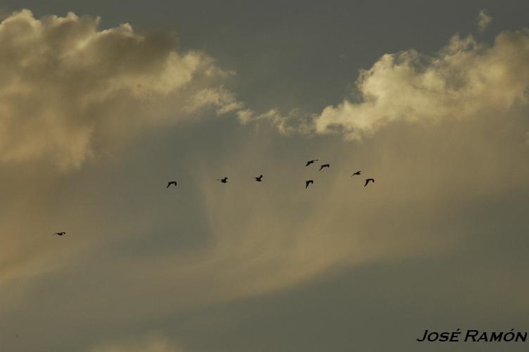 Foto de Jerez de la Frontera (Cádiz), España