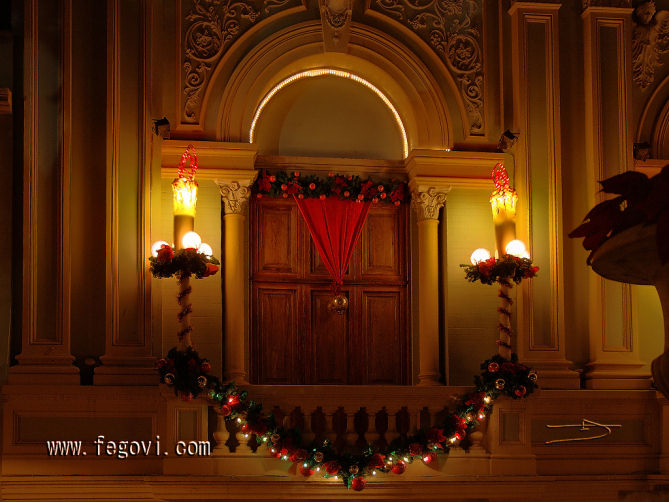 Foto de Santa Cruz de Tenerife (Canarias), España