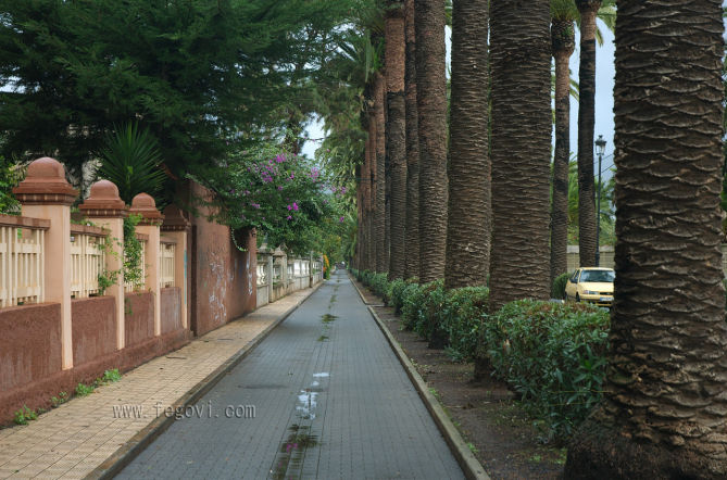 Foto de La Laguna (Santa Cruz de Tenerife), España