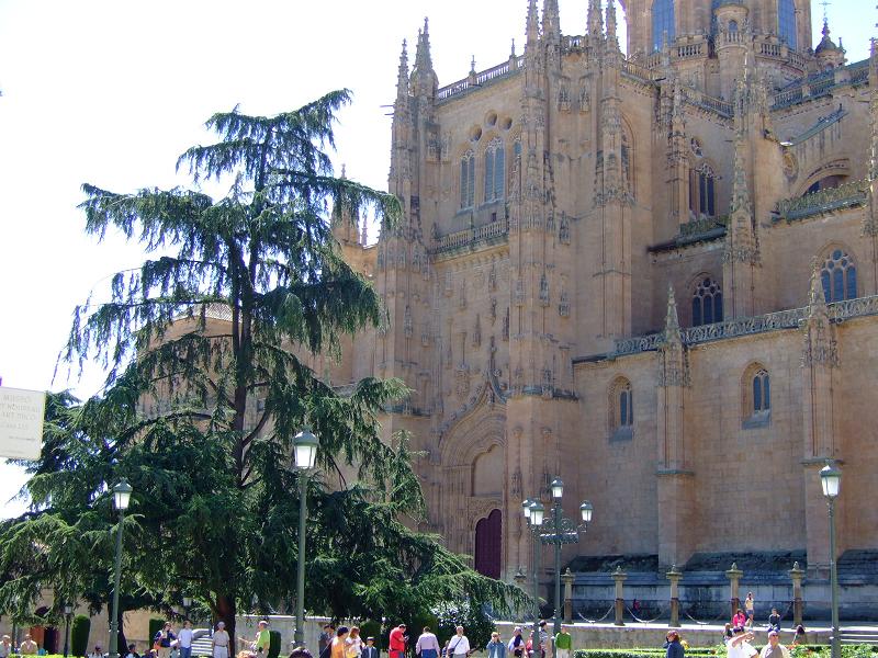 Foto de Salamanca (Castilla y León), España