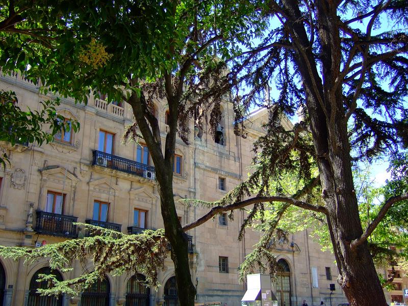 Foto de Salamanca (Castilla y León), España