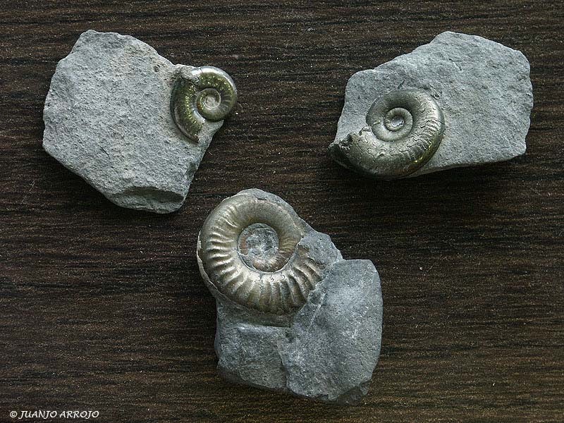 Foto de Colunga (Asturias), España