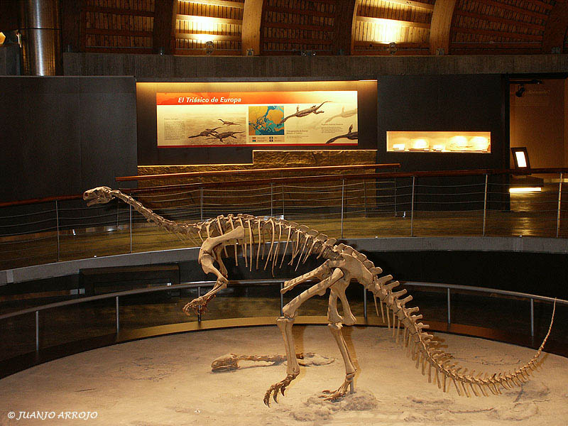 Foto de Colunga (Asturias), España