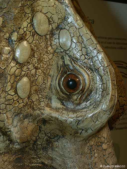 Foto de Colunga (Asturias), España