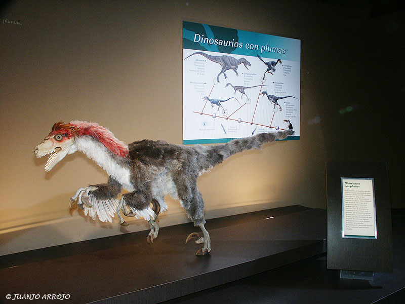 Foto de Colunga (Asturias), España