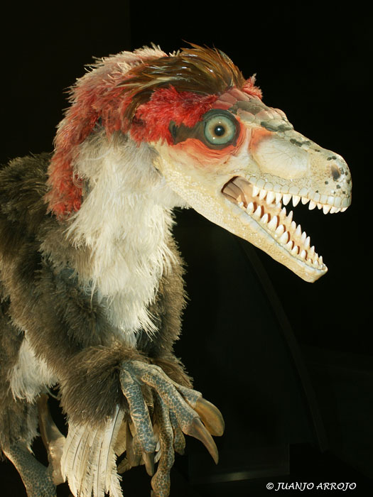 Foto de Colunga (Asturias), España