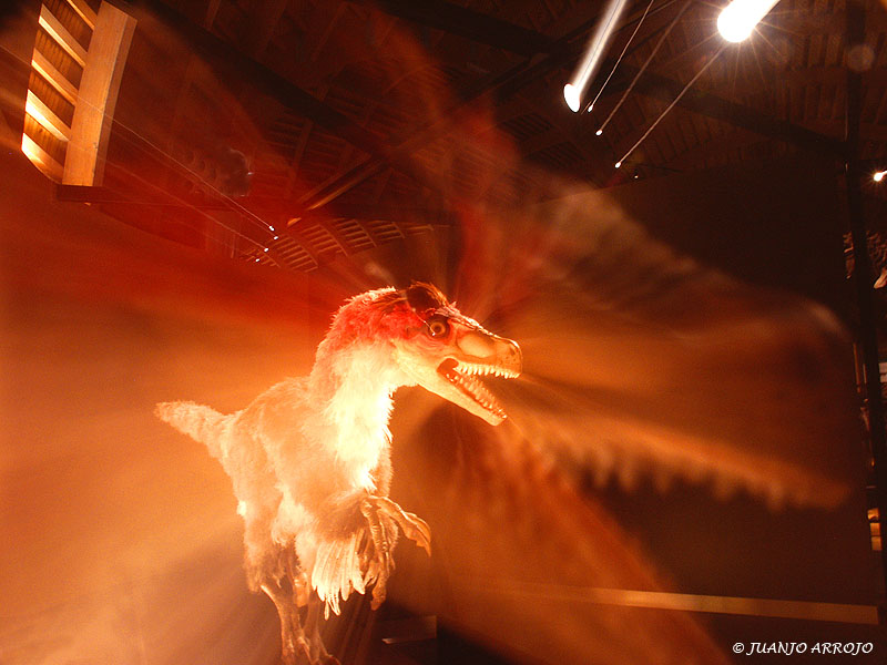 Foto de Colunga (Asturias), España