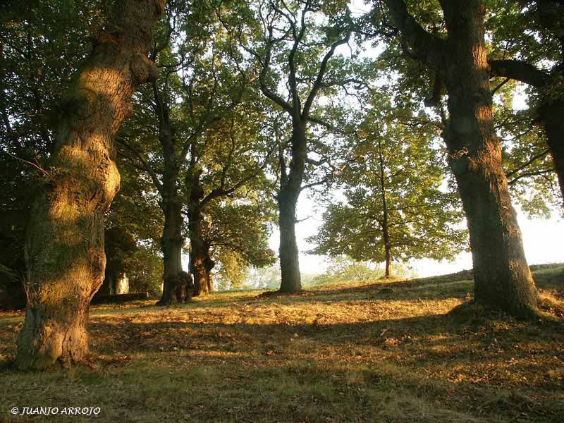 Foto de Piloña (Asturias), España